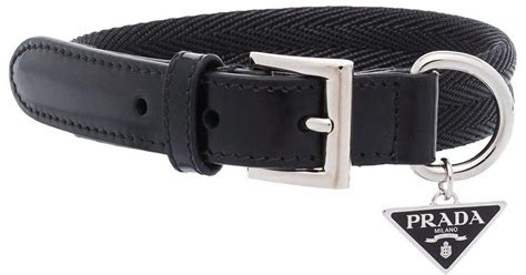 prada camp collar dinosaur|prada dog leash.